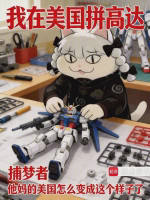 我在美国拼高达小说全本免费下载-我在美国拼高达txt最新章节免费下载阅读